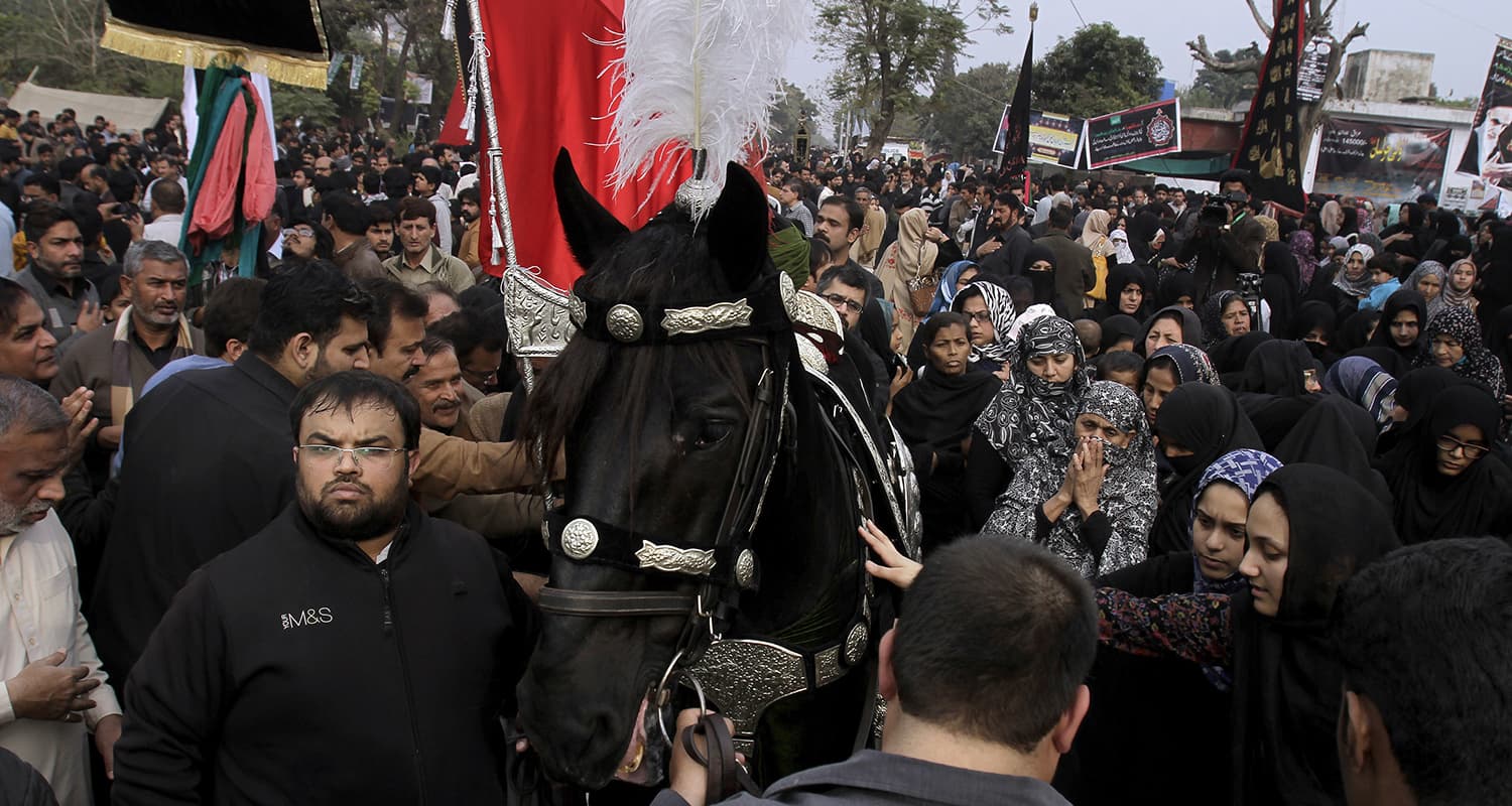 اسب نمادین ذوالجناح در راهپیمایی اربعین