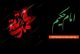 بررسی سیره و سبک زندگی امام حکیم