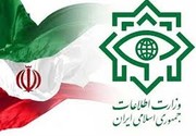 محموله احتکار شده بهداشتی در تهران کشف شد