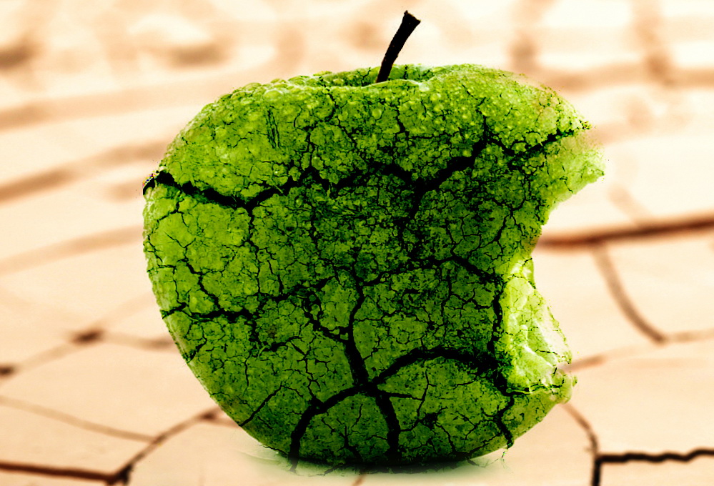 L'opposition à désirs