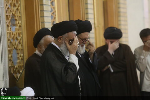 l'ayatollah Muhammad Asif Mohseni