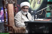 کربلا اور امام حسین ؑ کو رول ماڈل ماننے والی قوموں نے دنیا بھر کی ظالم جابر قوتوں کو رسوا کیا ہے، علامہ راجہ ناصرعباس جعفری