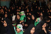 شیرخوارگان حسینیه ایران نذر باب الحوائج شش ماهه شدند