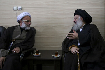 نماینده ولی‌فقیه در هندوستان با آیت‌الله موسوی جزایری دیدار کرد