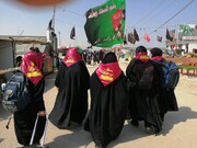 اعزام طلاب خواهر زبان‌دان به عراق جهت تبلیغ اربعینی
