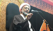 روحانی عربستانی: تشکیک کنندگان در نهضت حسینی ارتباطی با اسلام ندارند