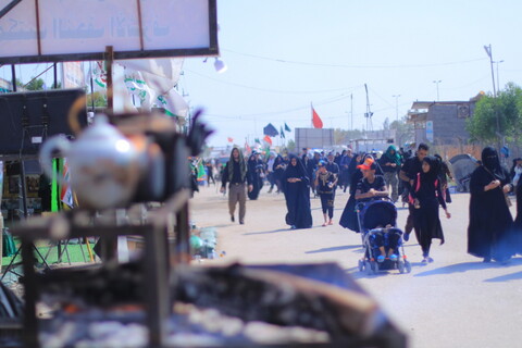 تصاویر/ راهپیمایی زائران اربعین در مسیر نجف به کربلا