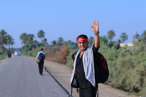 تصاویر/ راهپیمایی زائران اربعین در مسیر نجف به کربلا