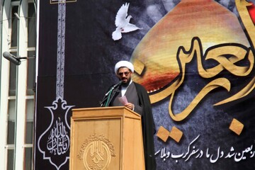 هواپرستی و تبعیت از کفر زمینه به شهادت رساندن ولی خداست