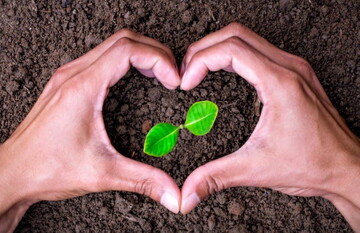 حدیث روز | این قلب نمی میرد