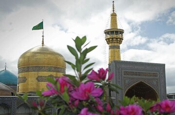 دانشمندان از علوم بی انتهای امام رضا(ع) بهره ها بردند