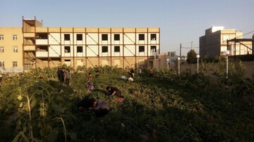 مدرسه علمیه امیرالمومنین(ع) قروه درجزین پای کار اقتصاد مقاومتی+ عکس