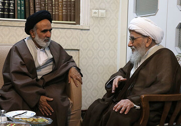 دیدار رئیس مرکز خدمات حوزه‌های علمیه با آیت‌الله صلواتی