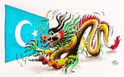 What can the Muslim world do to save the Uighurs and Islam in China?