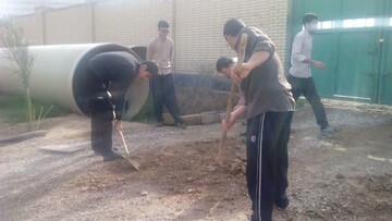 طلاب جهادی کرمانشاه به یاری محرومان خوزستان رفتند+ عکس