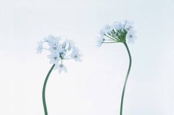 اینگونه به دیگران احترام کنیم