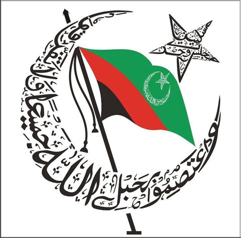 حزب مجلس وحدت مسلمین پاکستان
