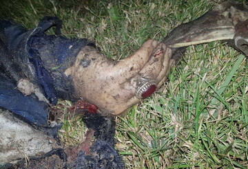 حدیث روز | شش امتیاز شهدا