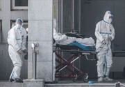 روسیه پشت پرده شیوع ویروس مرگبار را افشا کرد