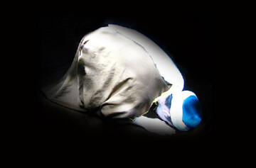 آیا واقعا امام علی(ع) در شبانه روز هزار رکعت نماز می خواندند؟