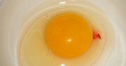 The rule pertaining to a spot of blood present in an egg