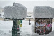 دستور رئیس جمهور به ۴ وزیر برای خدمت رسانی به مردم گرفتار برف