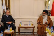 تصاویر/ حضور رئیس مجلس در حرم حضرت زینب(س) و دیدار با نماینده رهبری در سوریه