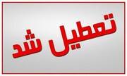 تعطیلی مدارس و مؤسسات آموزش عالی استان تهران/ مرخصی مدیران ارشد لغو شد