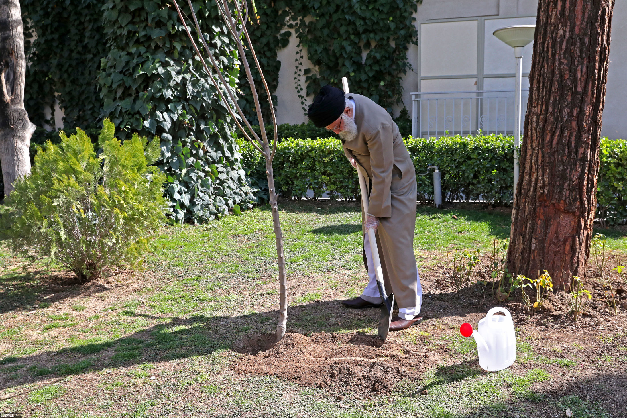 A l'occasion de la Journée de la plantation d'arbre, le Guide suprême a planté deux arbrisseaux+Photos