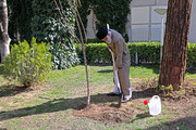 A l'occasion de la Journée de la plantation d'arbre, le Guide suprême a planté deux arbrisseaux+Photos