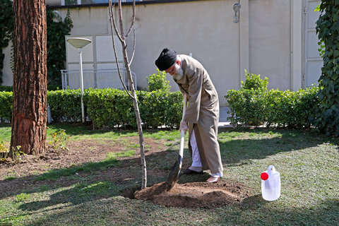 تصویری رپورٹ|رہبر معظم نے ہفتہ ماحولیات کی مناسبت سے پودا کاشت کیا
