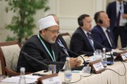 شیخ الازهر: جهانی‌سازی نسخه متوحشانه استعمار است