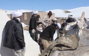 فیلم/ فعالیت جهادی طلاب و روحانیون خوی در مناطق زلزله زده