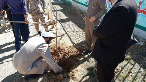 تصاویر/ کاشت درخت توسط مدیر مدرسه علمیه بیجار و امام جمعه توپ آغاج به مناسبت هفته منابع طبیعی