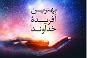 کتاب «بهترین آفریده خداوند» درباره حضرت علی(ع) منتشر شد