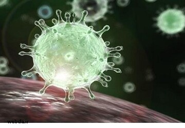 یادداشت رسیده|  پیشنهادی به افرادی که مقابل حرم حضرت معصومه(س) تجمع کردند