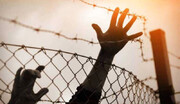 5000 أسير ومعتقل في سجون الإحتلال