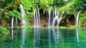 برنامه «مهربانی با طبیعت» در ایام نوروز از رادیو قم روی آنتن می رود