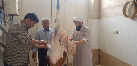 تصاویر / پخش گوشت زنده نذری توسط گروه جهادی طلاب اهر