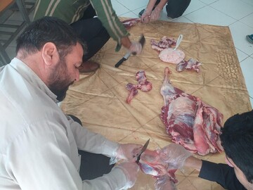 توزیع گوشت قربانی بین نیازمندان قمی به همت طلاب گروه جهادی رشد