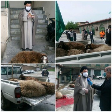 ذبح قربانی به نیت سلامتی امام زمان(ره) و رفع لا از مردم