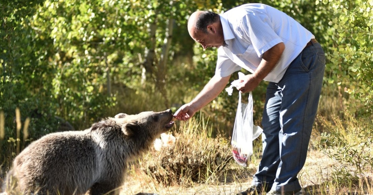 The Rights of Animals according to the Holy Qur’an and Prophetic Narrations