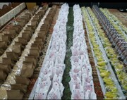 اهدای بسته های افطاری به دانش آموزان یتیم استان قم