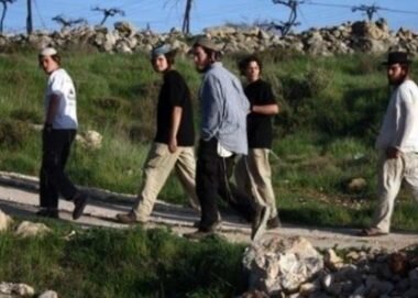 Israeli colonists hurl stone at Teqoua’ town council