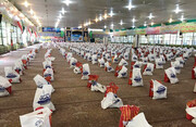 توزیع ۲۶۰۰ بسته معیشتی به یاد ۲۶۰۰ شهید دفاع مقدس دزفول