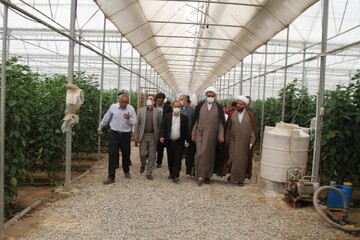 موانع از سر راه تولیدکنندگان برداشته شود