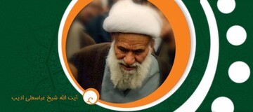 آیت‌اللهی که برای اساتید دانشگاه ریاضی، هندسه و نجوم تدریس می‌کرد