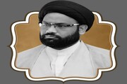 مرجعیت عالم تشیع کے لئے روحانی و معنوی فیضان ہے،مولانا سید شاہد جمال رضوی