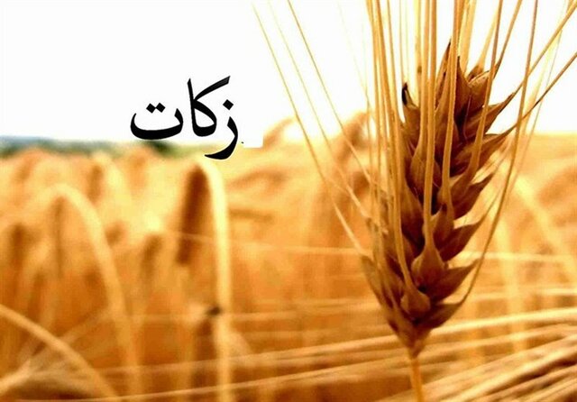 تولید ۱۰۵۰ دقیقه برنامه رادیویی و تلویزیونی با موضوع «زکات» در همدان