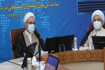 جامعةالمصطفی به بلوغ بومی سازی دانش های اسلامی رسیده است